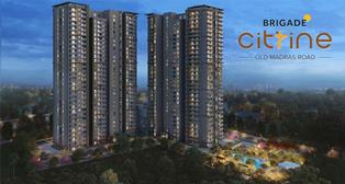 Brigade Citrine